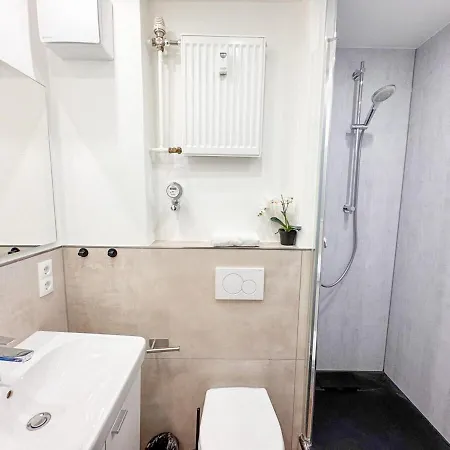 Cozy 2-room With Wifi & Sky Apartment Koblenz (Rhineland-Palatinate)